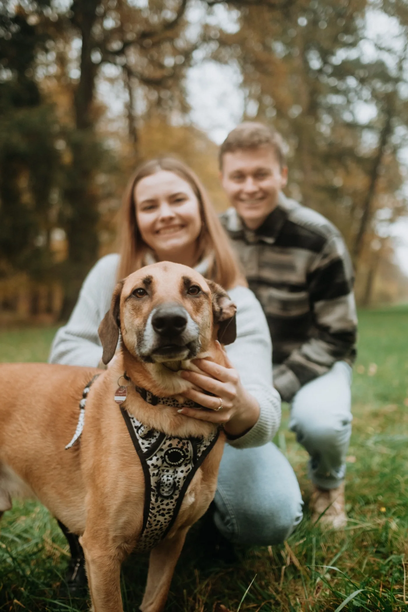 Verlobung Fotografie